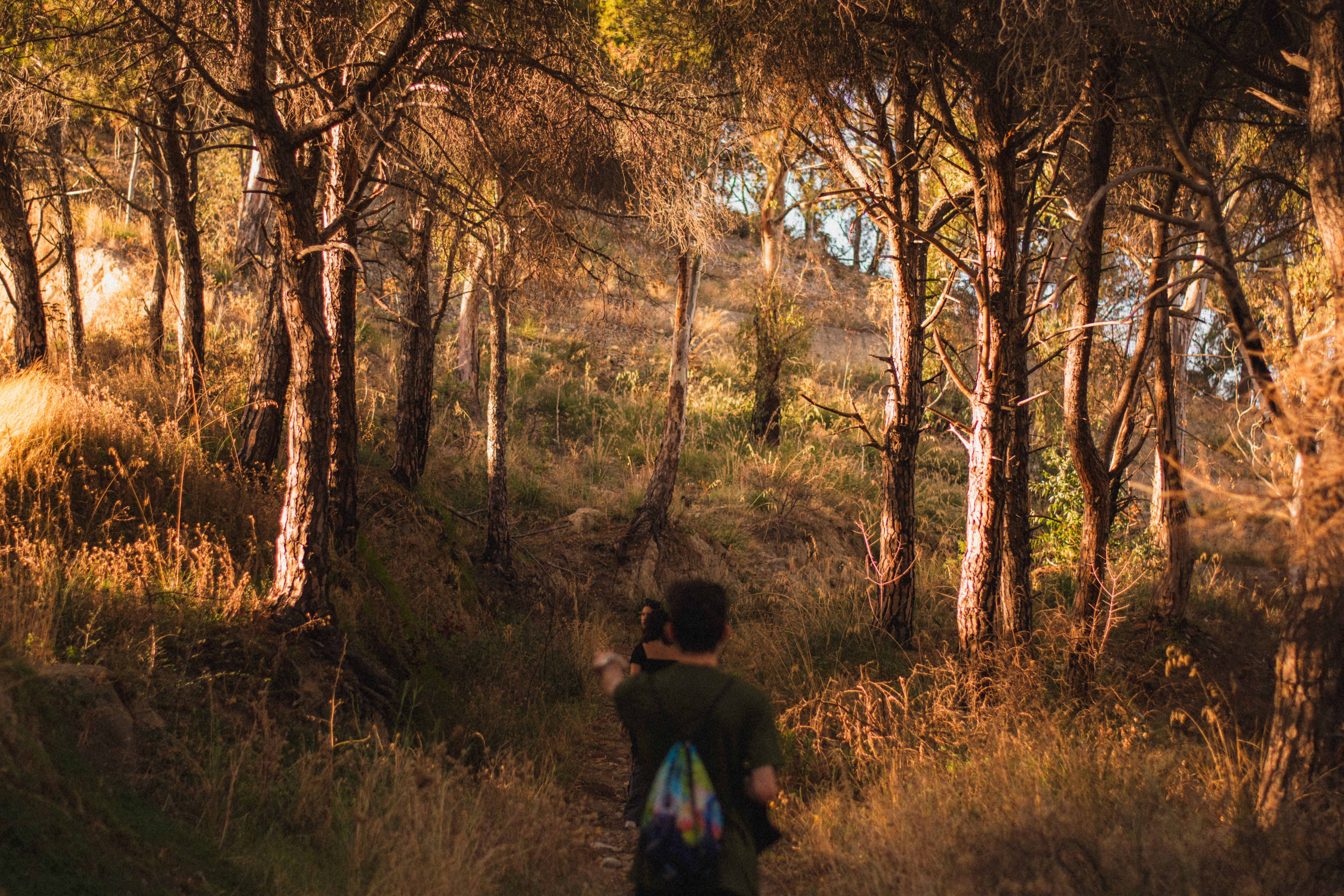 Guide leading a walking trail through the bushveld